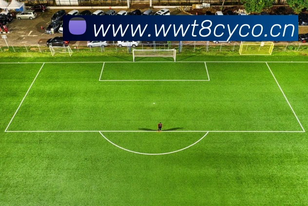 九游j9官网快速入口发展历程